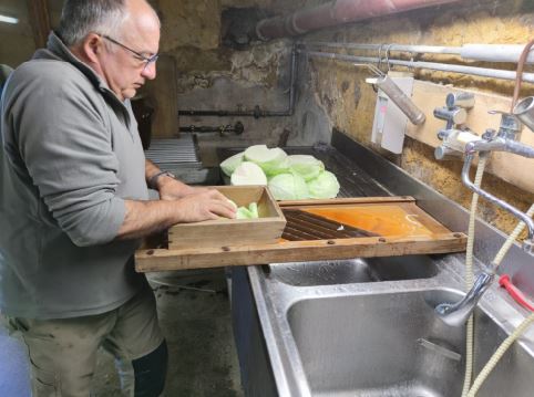 passage des choux sur la râpe